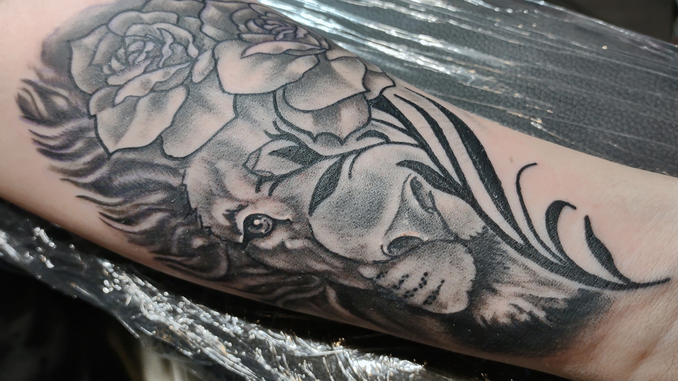 Almont-Ink-Flash-Tattoos-014 Almont Ink Tattoo Studio Black n White Lion Tattoo. Timm Nowakowski.