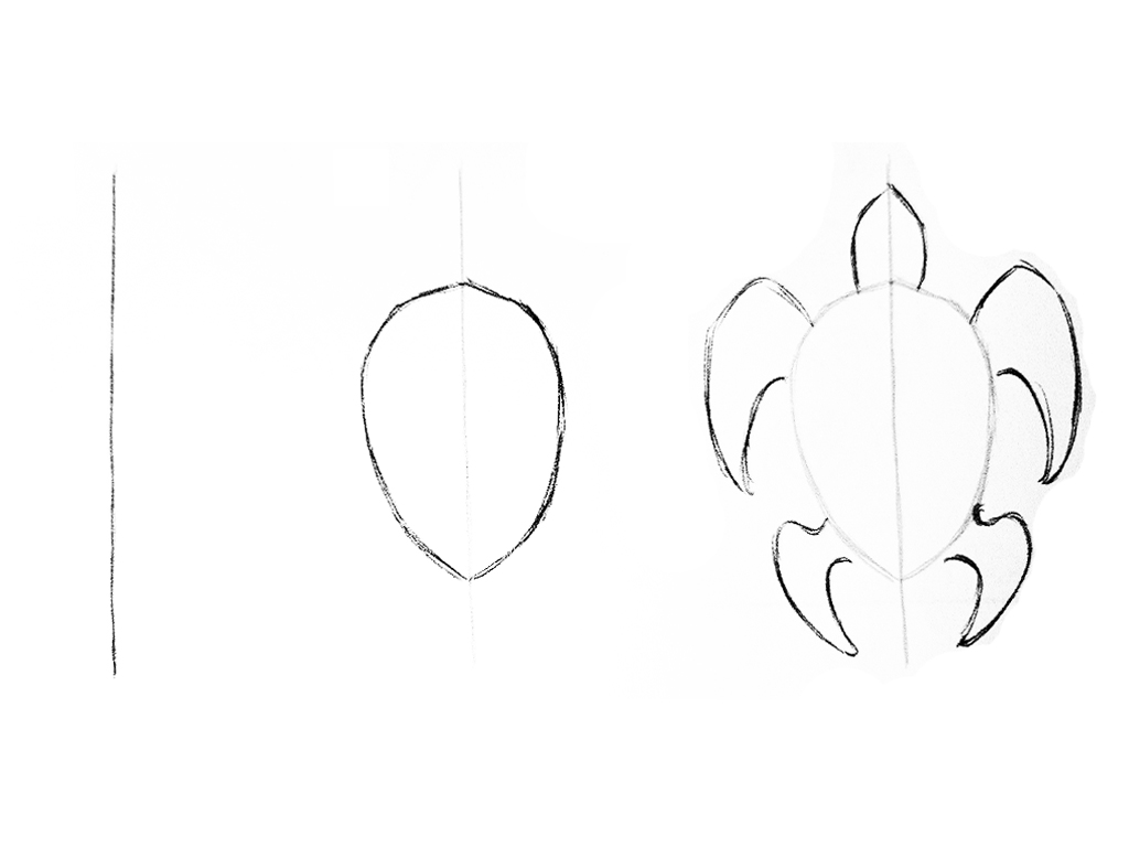 Sketch Out Your Shape - Tribal Turtle